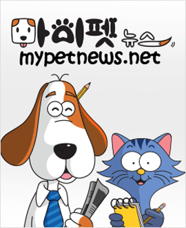 마이펫뉴스